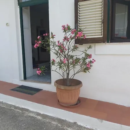 In .. Holiday home